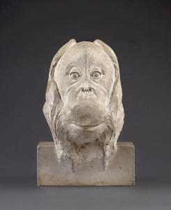 Head of an Orangutan (Pompon, 1930)