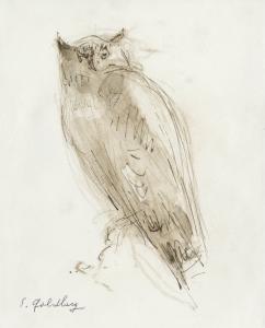 Owl (Goldberg)