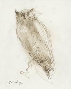 Owl (Goldberg)